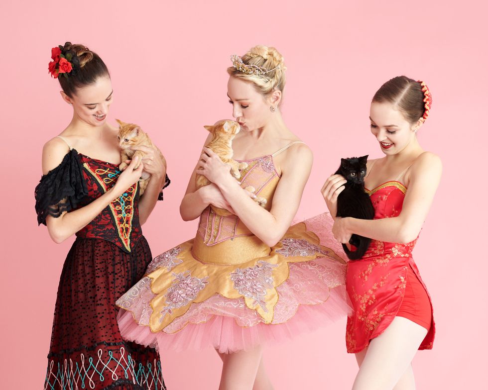 Three ballerinas in Nutcracker costumes hold kittens in front of a pink background.